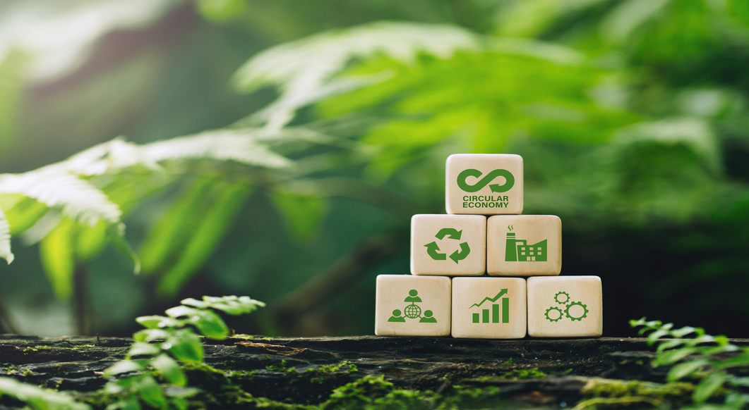 Empresa sustentável: o que é esse conceito e por que ser uma?